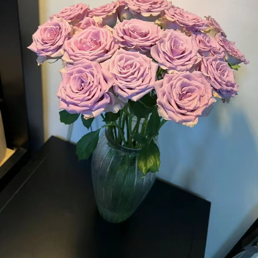 云南万千花卉基地鲜花 碧海玫瑰 包邮