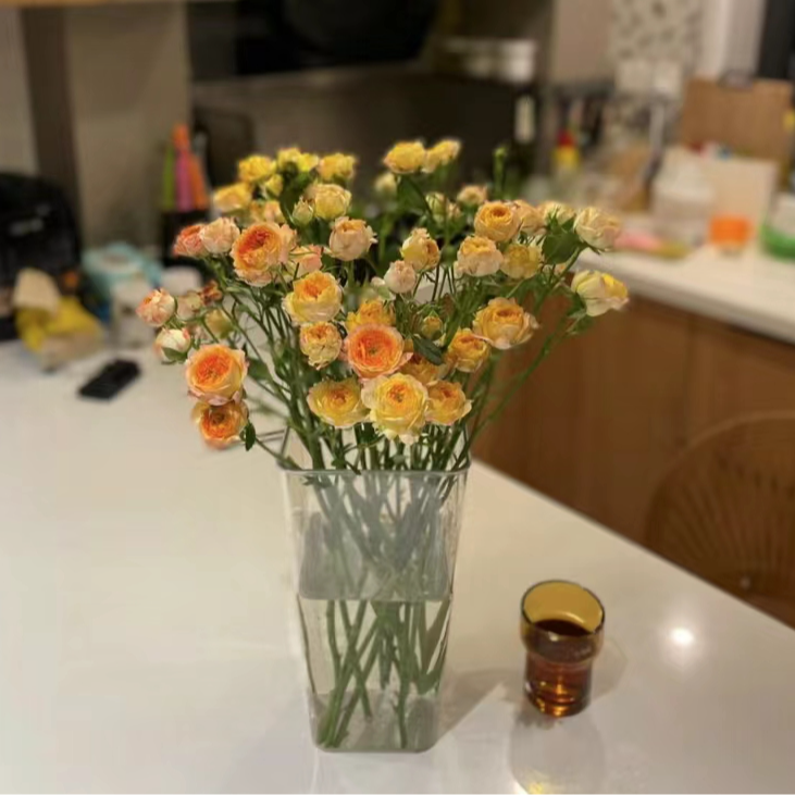 云南万千花卉基地玫瑰 浪漫爱人 包邮