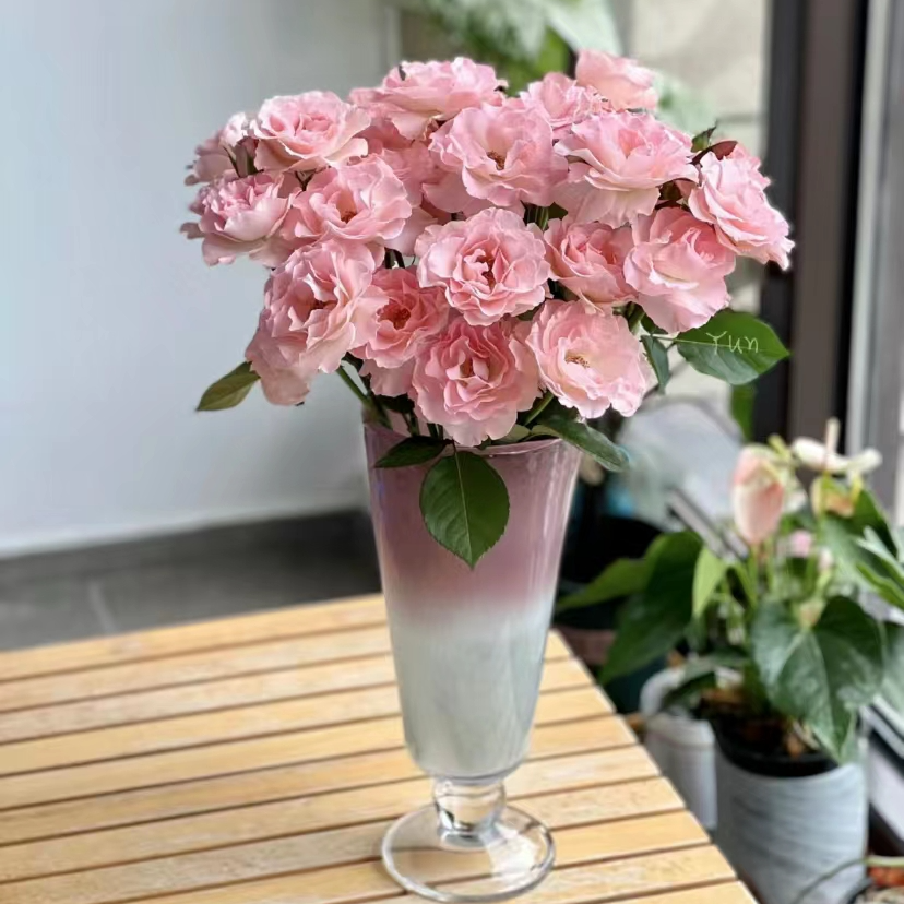 云南万千花卉基地鲜花 人鱼公主 包邮