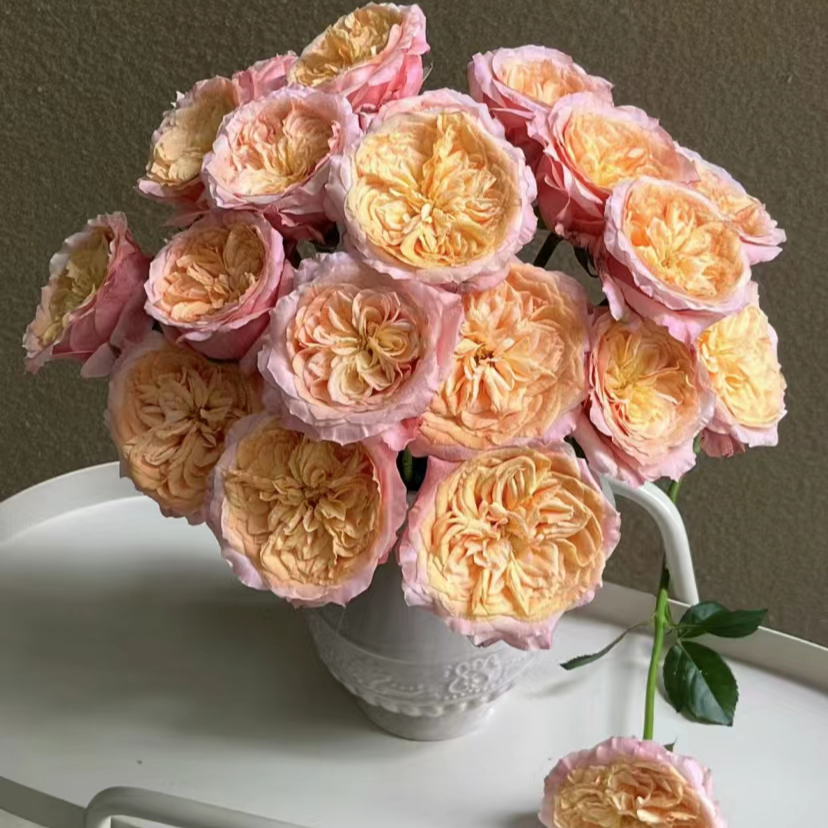 云南万千花卉基地鲜花 维多利亚玫瑰 包邮