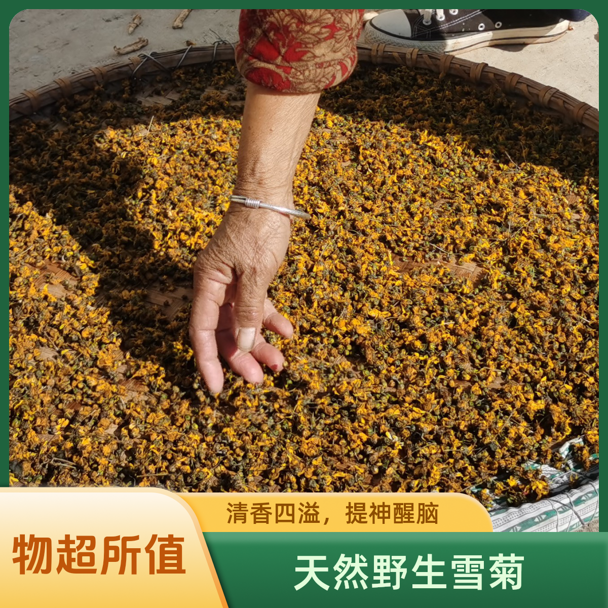 湖南耒阳晒干野菊花