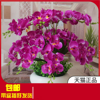 放茶几上的花 客厅 仿真 摆放蝴蝶兰假花塑料花时尚盆景装饰品。