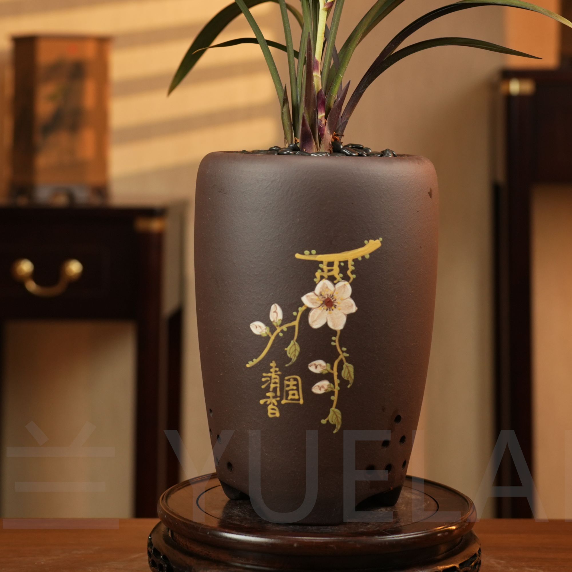 兰花蝴蝶兰君子兰花盆透气陶瓷兰草盆专用盆带托盘瓷盆景多肉紫砂