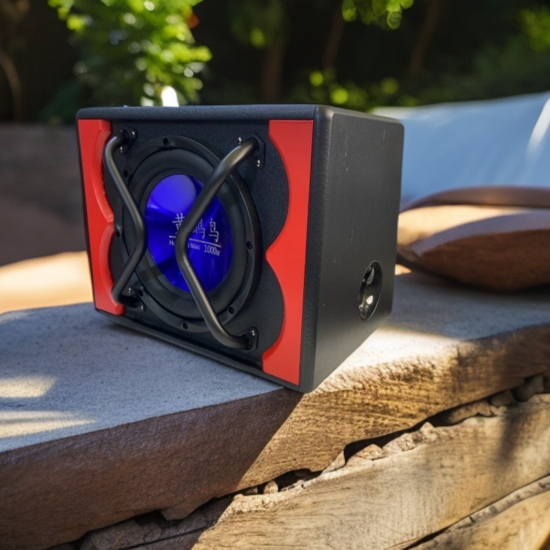 10寸大功率车载12V24V重低音炮220V蓝牙音箱汽车改装低音炮音响