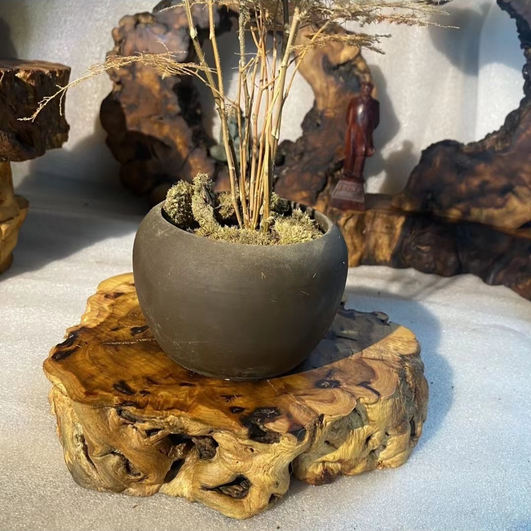 枣木随行底座（以直播间为主一物一拍）