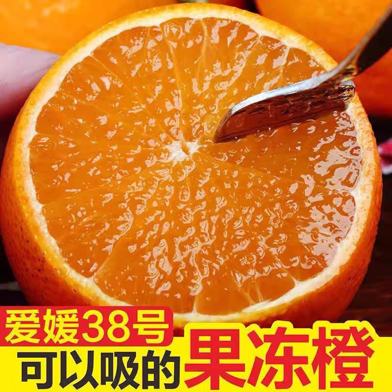 【小果特惠】正宗四川眉山爱媛38号果冻橙5/8斤新鲜采摘应季水果