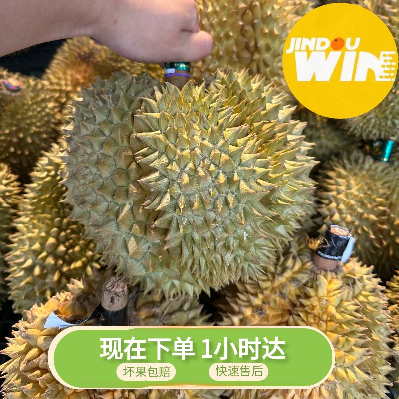 （2号）金枕树熟榴莲一整个（默认剥开、不剥开勿拍）