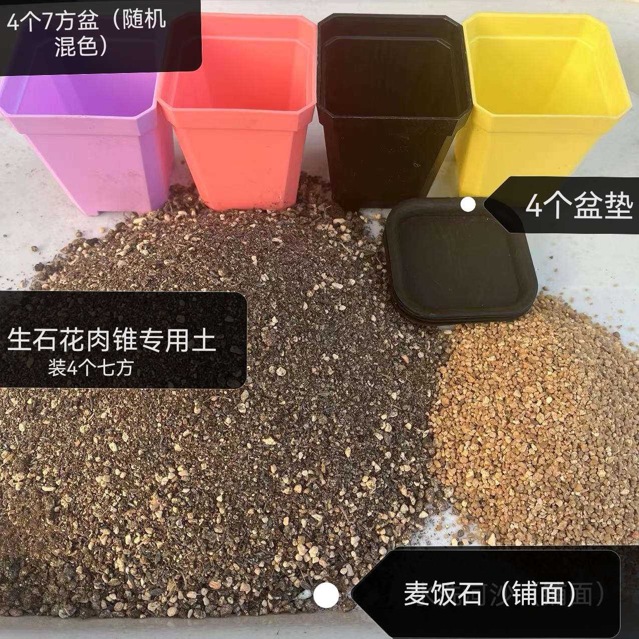 生石花肉锥盆土套餐 4个七方+种植土+铺面+4个盆垫