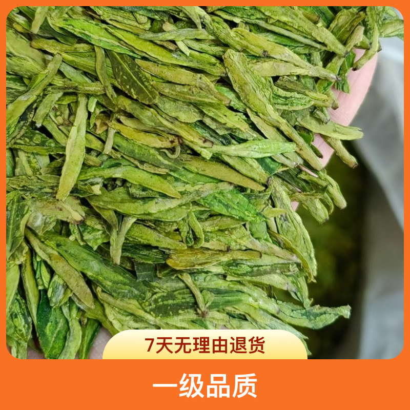 龙井茶豆香型芽头饱满浓郁耐泡高回购