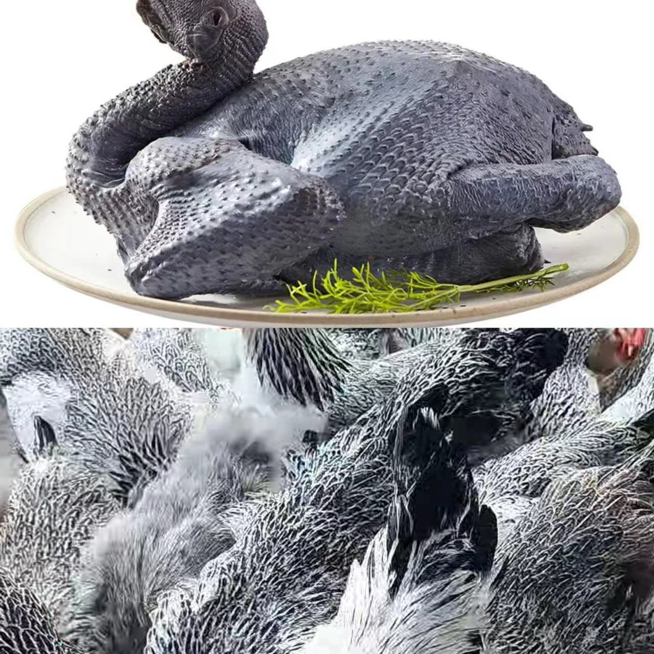 云南无量山土乌鸡阉鸡冰鲜打包发货