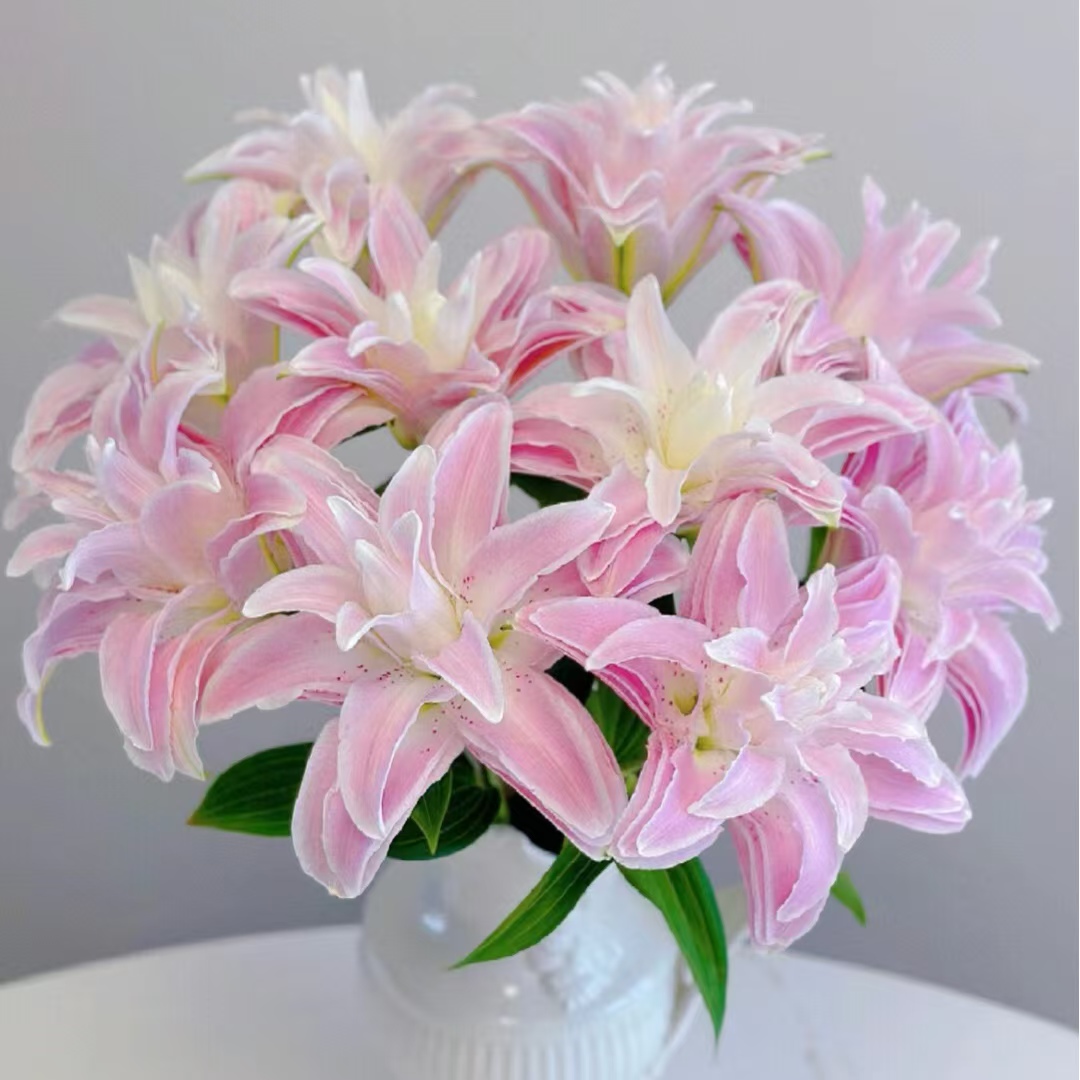 【两个老六】伊莎贝拉重瓣百合 任意2单鲜花包邮 发货后不支持退款