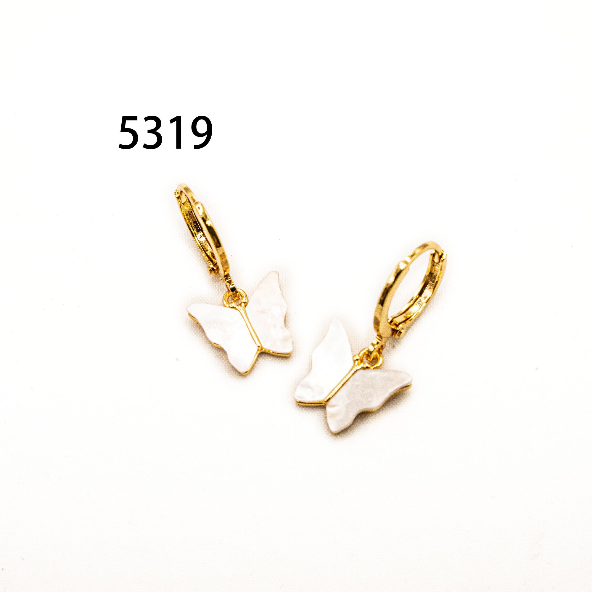 铜合金耳饰 时尚气质轻奢耳环新款小众设计高级感耳饰～5319