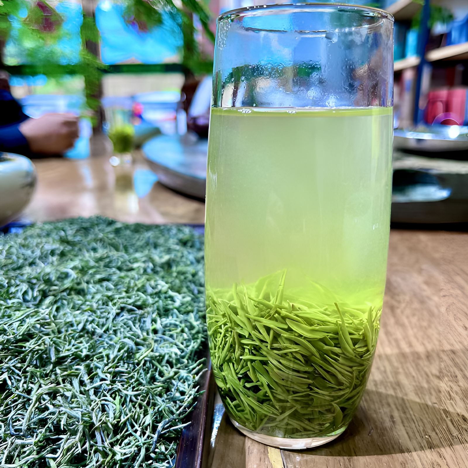 双潭1号信阳毛尖2024新茶毛尖绿茶高山小芽兰花香型新茶罐装