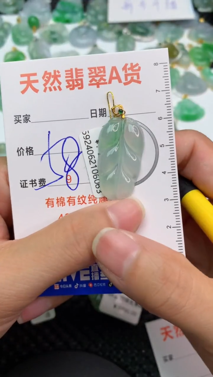 【闪购商品】翡翠颈饰18K金镶嵌11111111