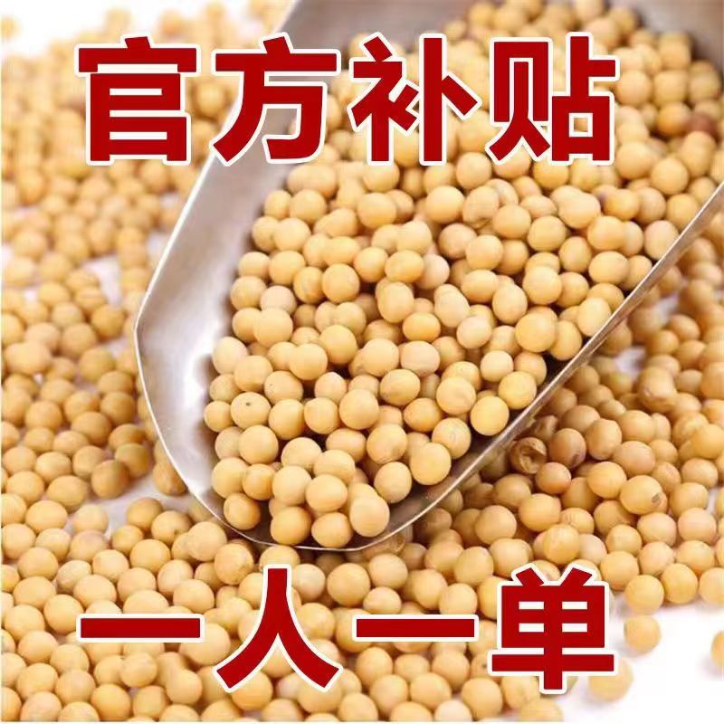【5斤特价】东北黄豆散装发黄豆芽专用豆黑龙江黄豆发豆芽50g