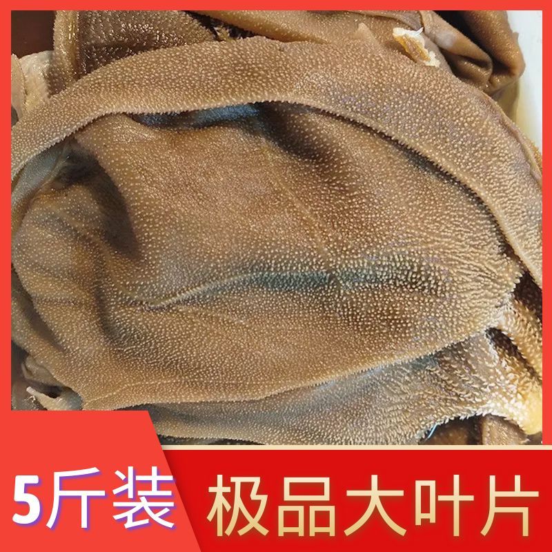新鲜毛肚大叶片牛百叶商用火锅食材牛肚杂冒菜冰鲜包邮批发