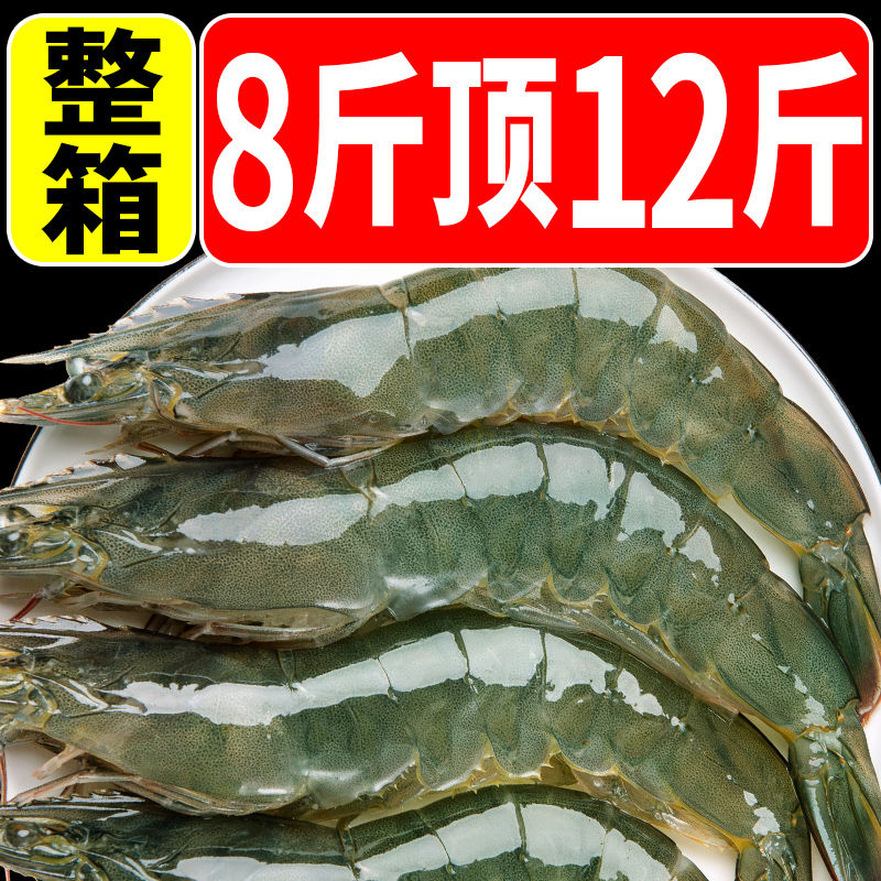 【无冰款超大号】青岛大虾批发新鲜特大海虾超大冷冻白虾鲜活对虾