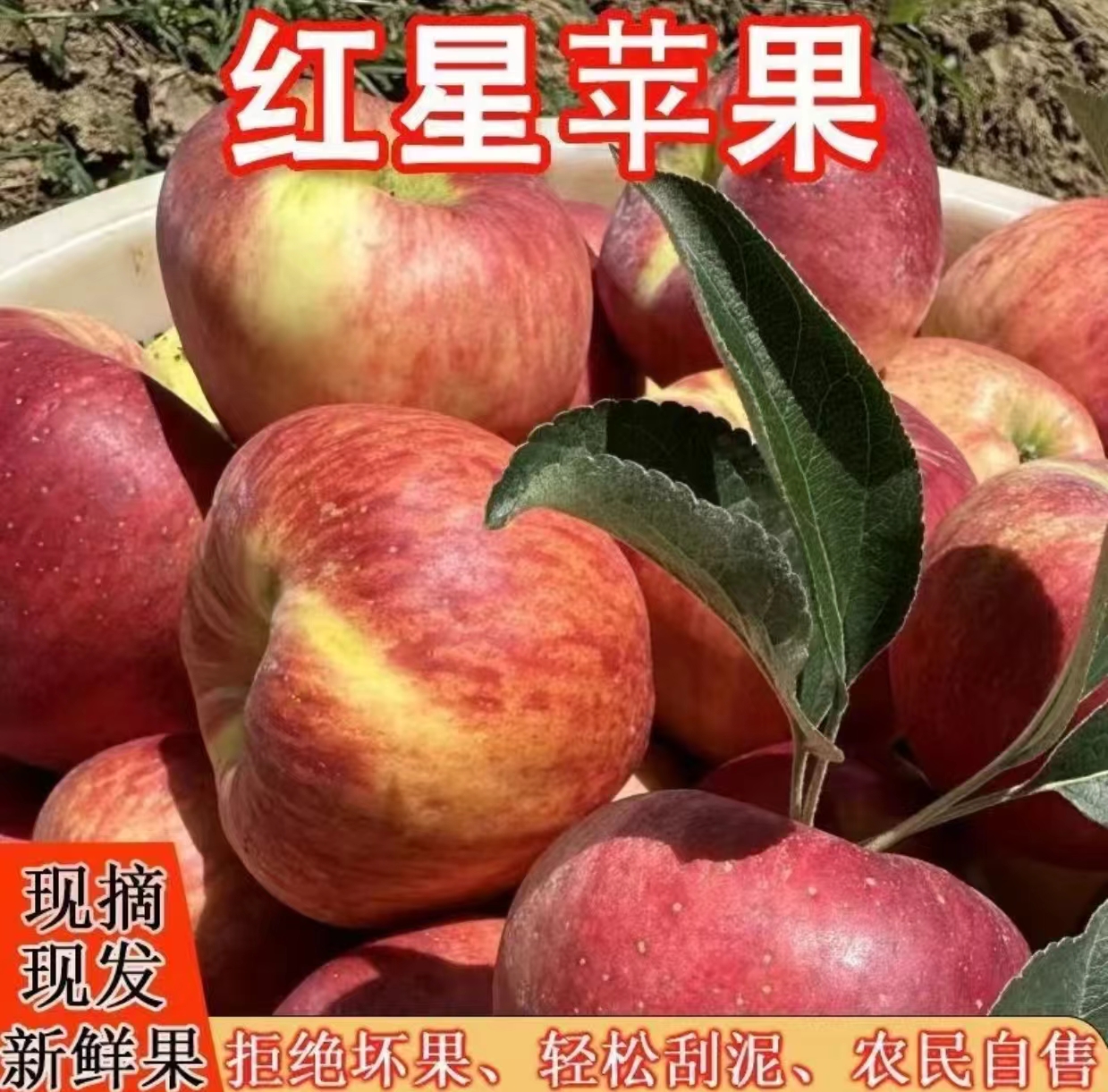 苹果好吃好吃真好吃