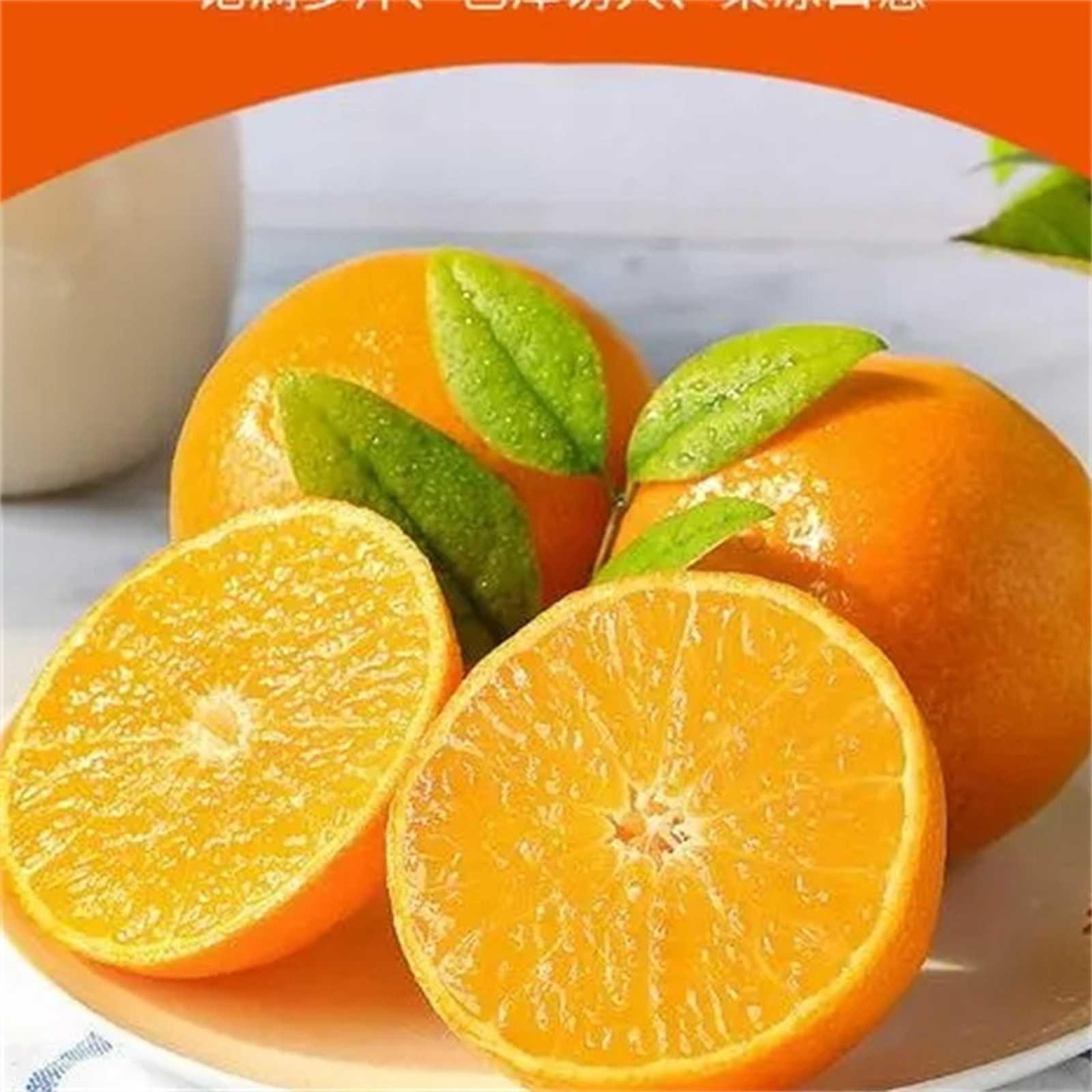 【双11福利】爱媛果冻橙  果肉Q弹  净重8斤