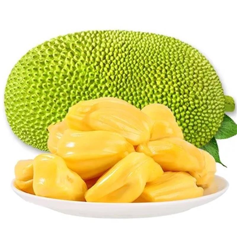 【同城送货】越南菠萝蜜整果 约12—13斤左右 24小时售后 过时不候