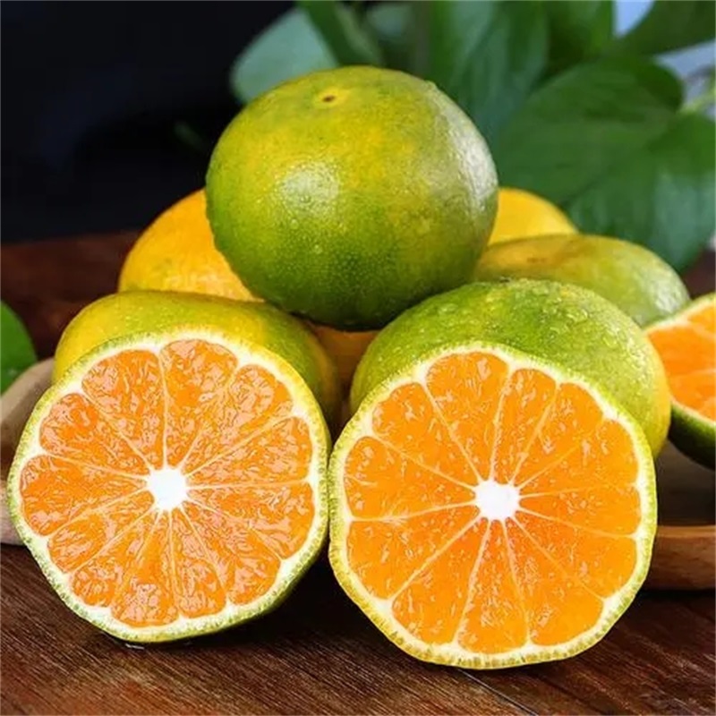 【同城送货】黄岩蜜桔 酸甜有味 5斤装