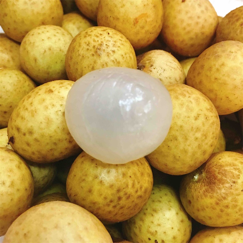 新鲜泰国龙眼 一斤装