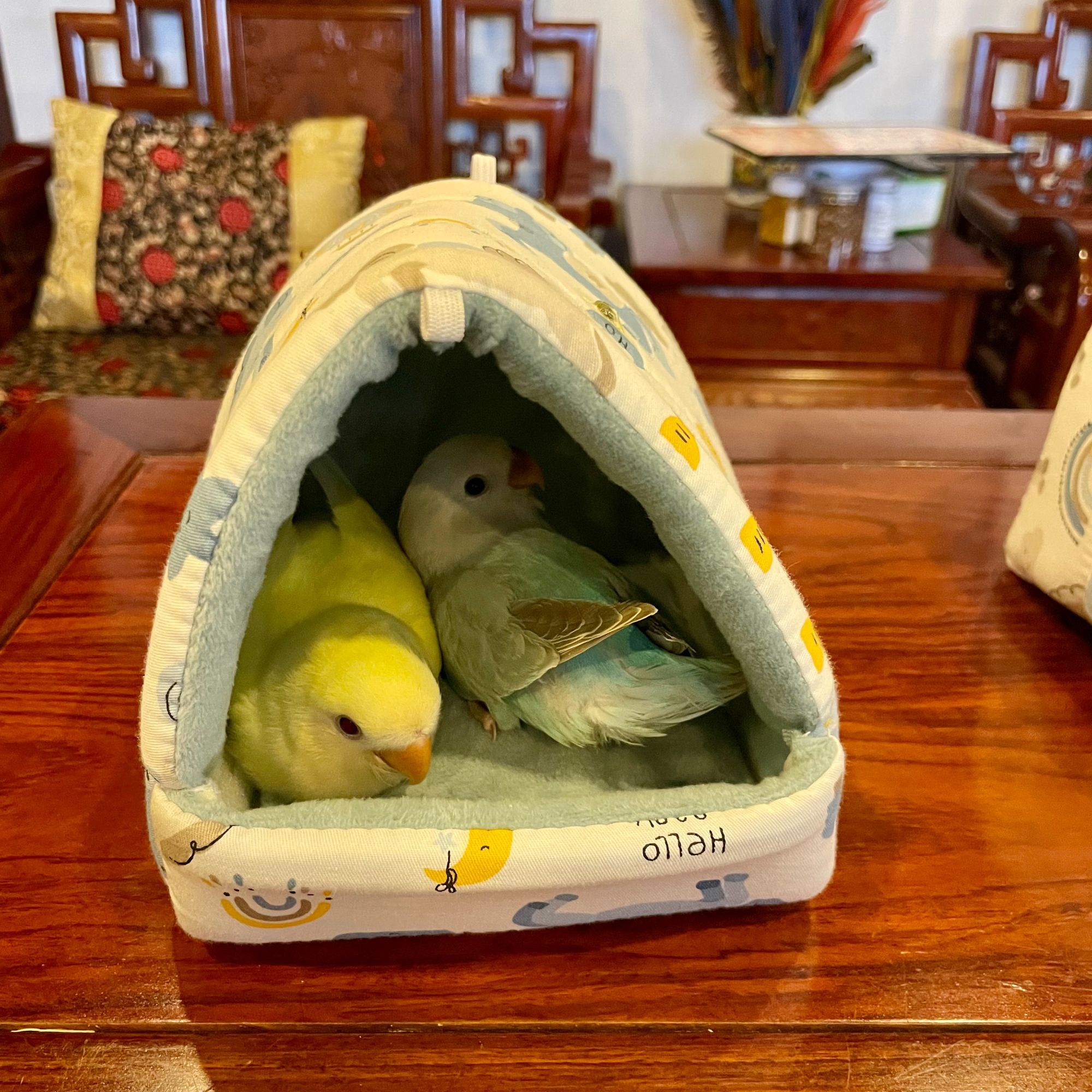 鹦鹉保暖鸟窝加厚棉保温小太牡丹玄凤和尚金太过冬天神器鸟窝用品