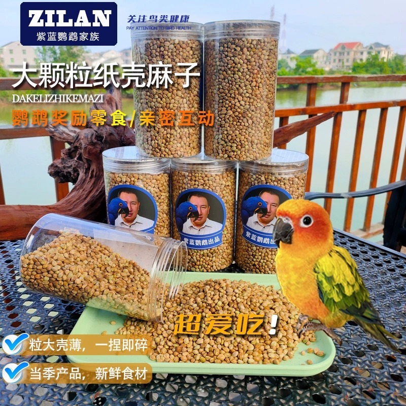 大颗粒薄皮纸壳麻子新鲜干净鹦鹉训练奖励零食增肥设备
