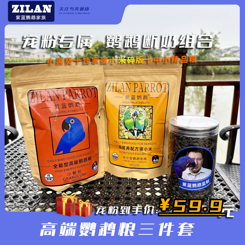 紫蓝鹦鹉玄凤小太阳和尚金太阳断奶组合