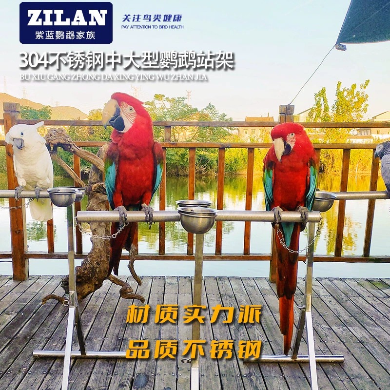 紫蓝鹦鹉304不锈钢放飞活动站架 (高75公分长30公分粗30) 