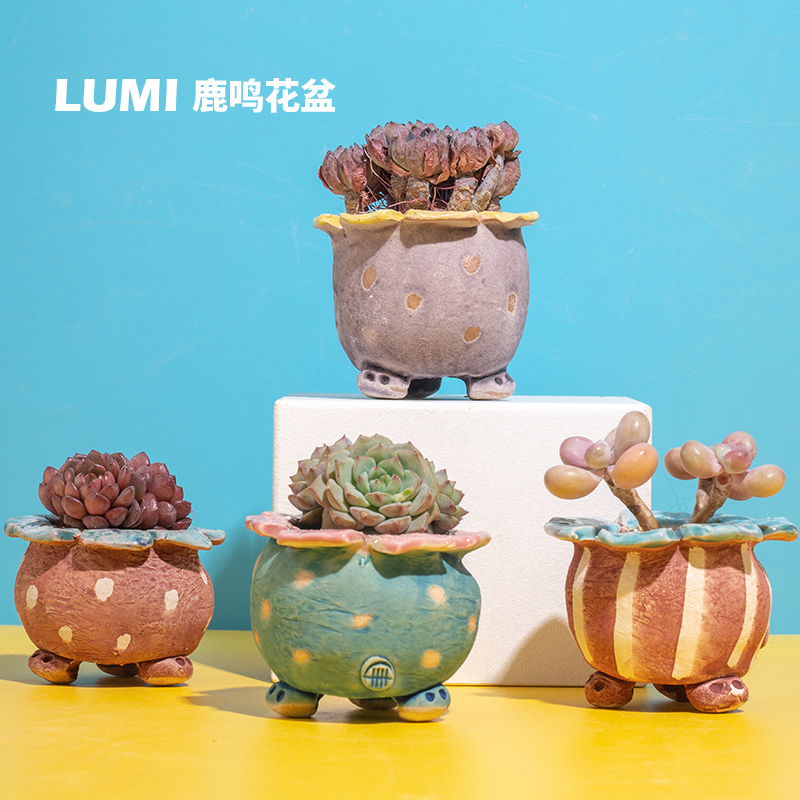 一卌 春季新款圆点小菠萝复古可爱田园风小口径粗陶多肉绿植花盆