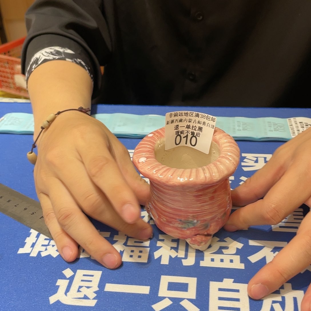 红陶10 发000000