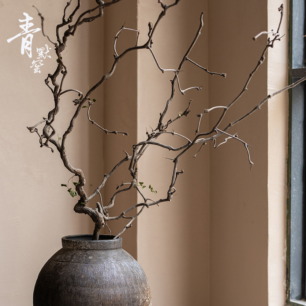 侘寂干花天然干树枝装饰风侘寂干弯曲龙爪插花造景枯枝摆件龙枣枝