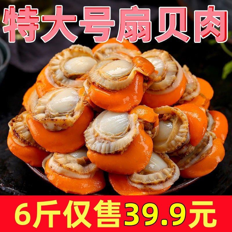 新鲜大扇贝肉冷冻元贝肉冻扇贝蒜蓉扇贝贝类特大号扇贝肉瑶柱生鲜