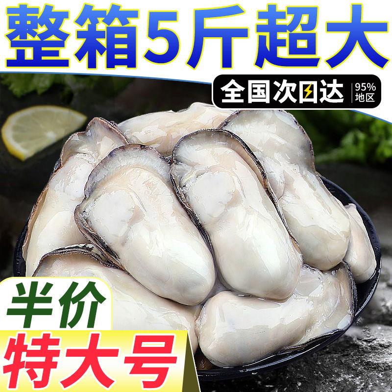 【高品质】新鲜生蚝肉鲜活现剥去壳海鲜即食原浆海蛎子牡蛎肉包邮