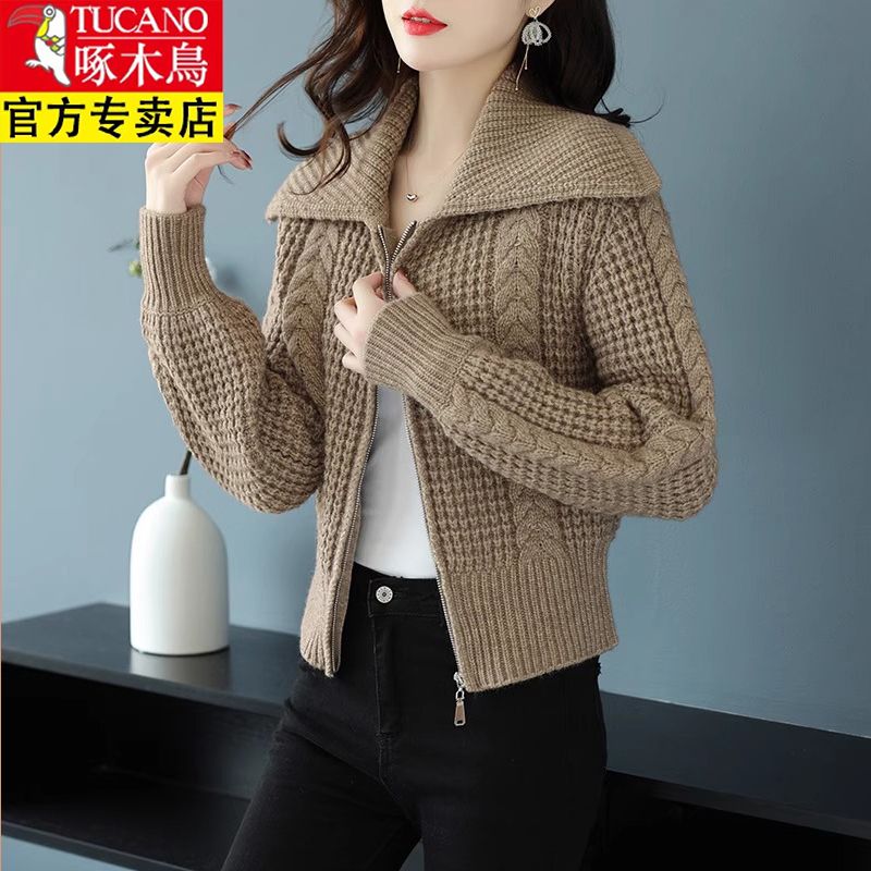 啄木鸟洋/毛衫短款高腰2023秋冬款女拉链毛衣外套宽松翻领粗线加