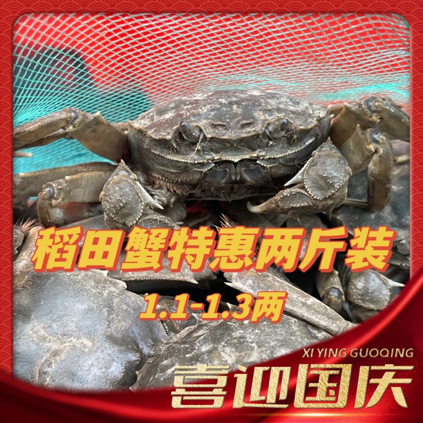 【运城一小时到家】鲜活稻田蟹特惠保黄1.1-1.3两二斤装