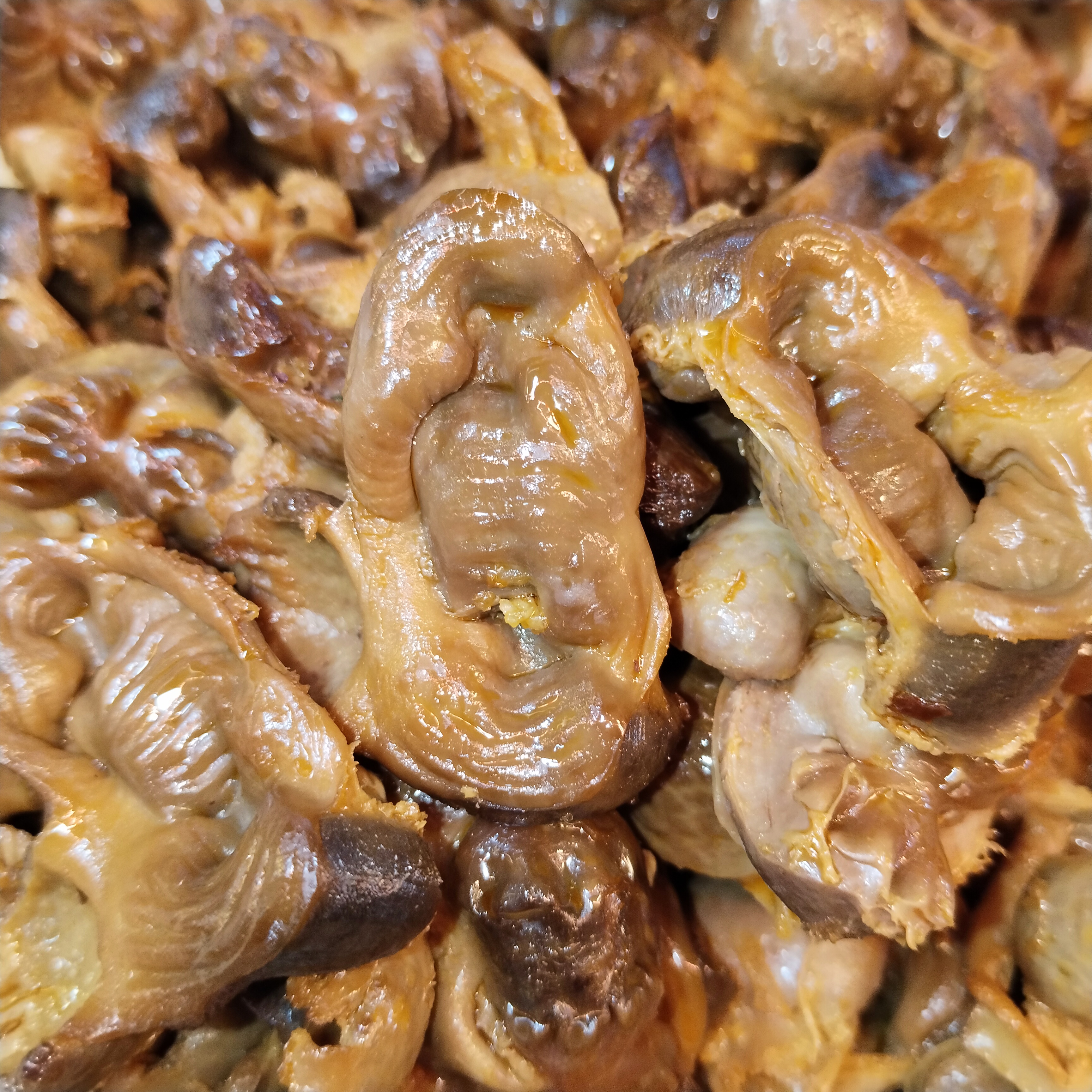 馨于洋 五香鸡胗