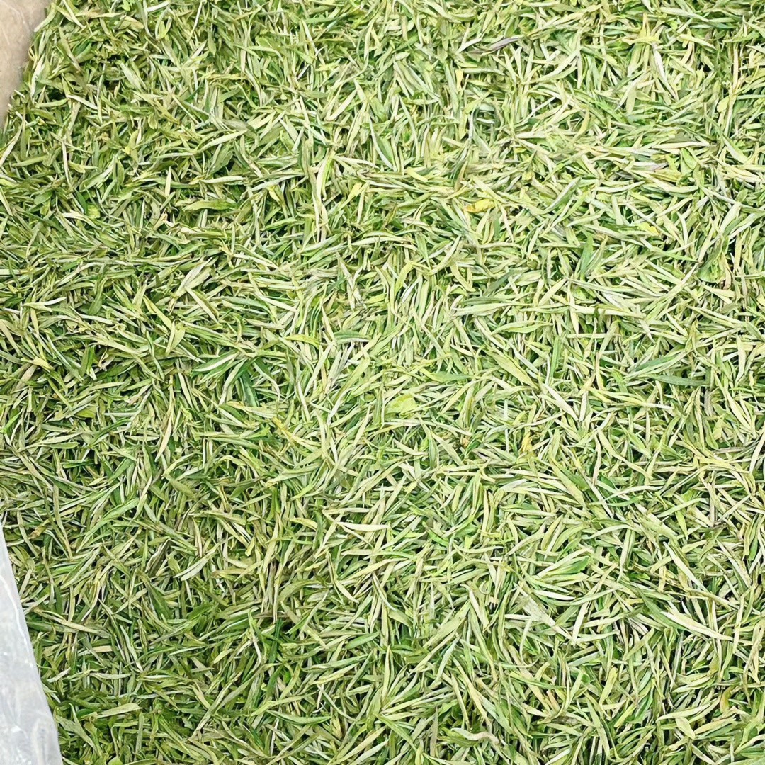 【杨三茗A5款】25新茶黄山毛峰 老品种纯正花香