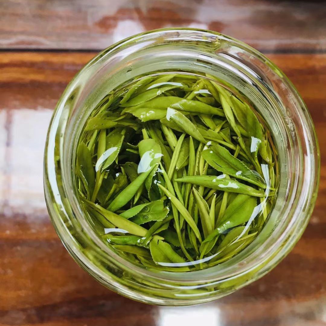 【杨三茗C1款高山野茶】浓香耐泡25年新茶   250g-500g