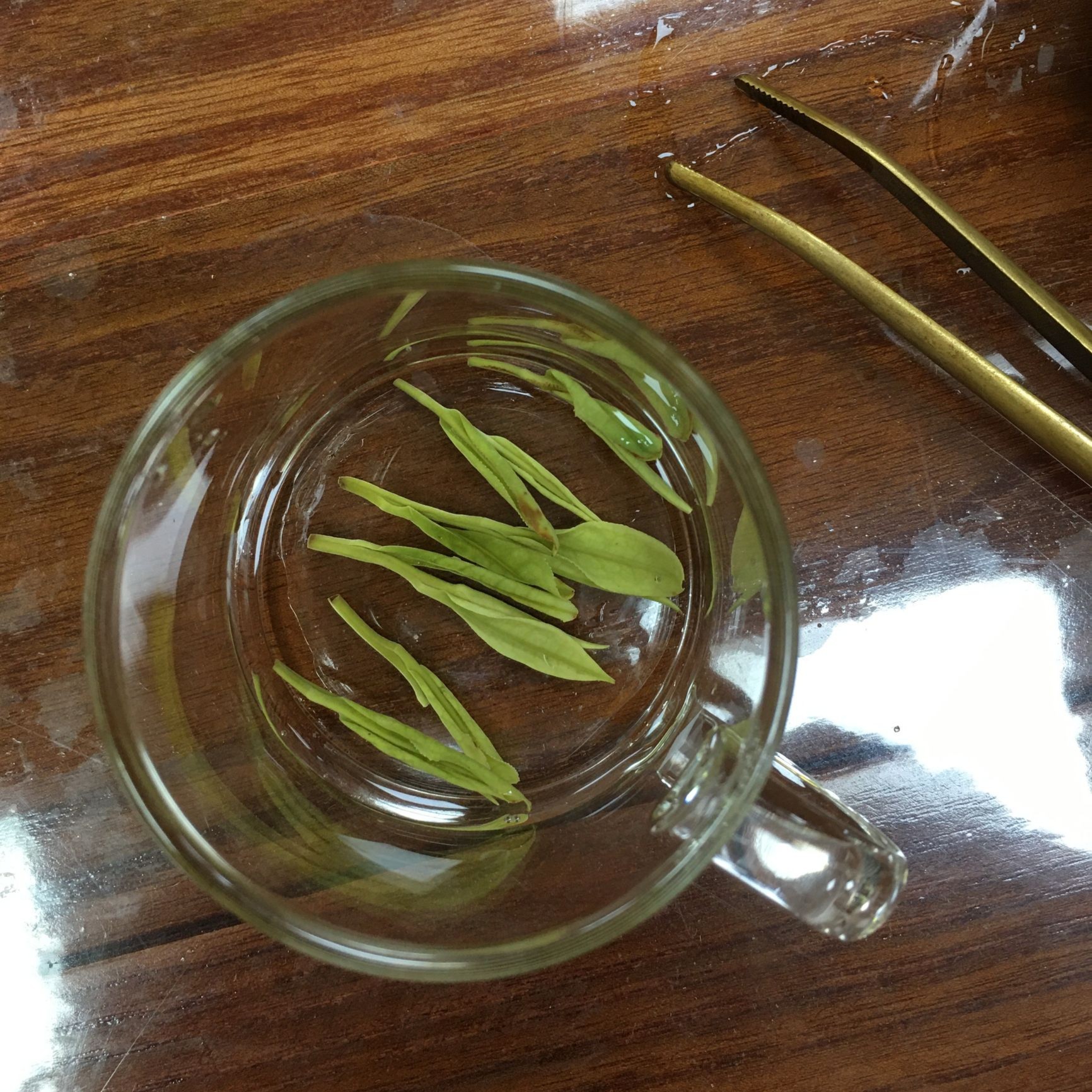 【杨三茗A30款】 25年新茶花香白茶 浓香耐泡口粮茶