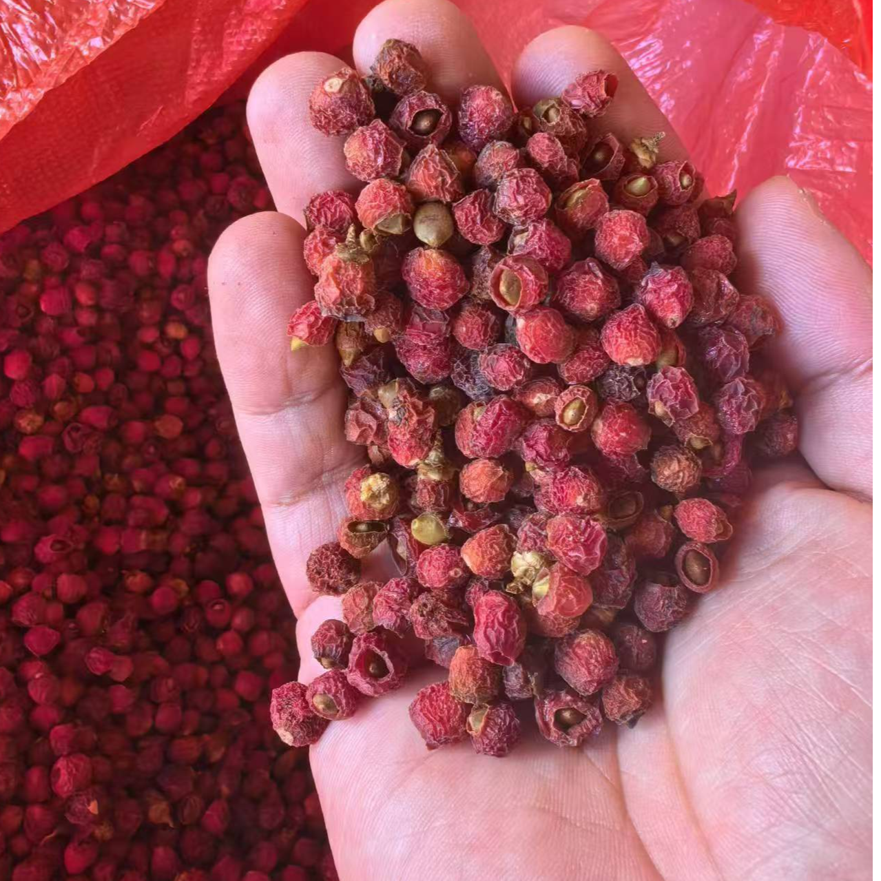 【三妹助农】现收山货~（紫衫果）100克