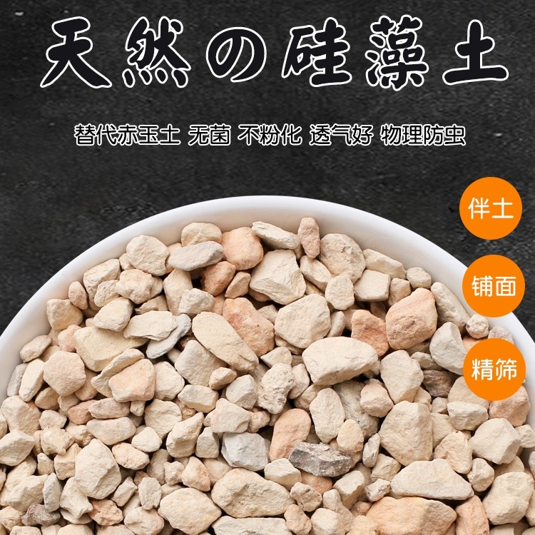 硅藻土颗粒种植介质多肉基质铺面石君子兰多肉兰花土防虫猫砂