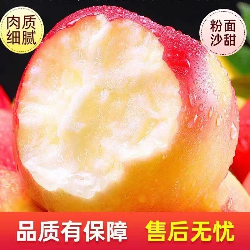 阿克苏冰糖心苹果】新鲜红富士丑苹果水整箱批发特级5/10斤