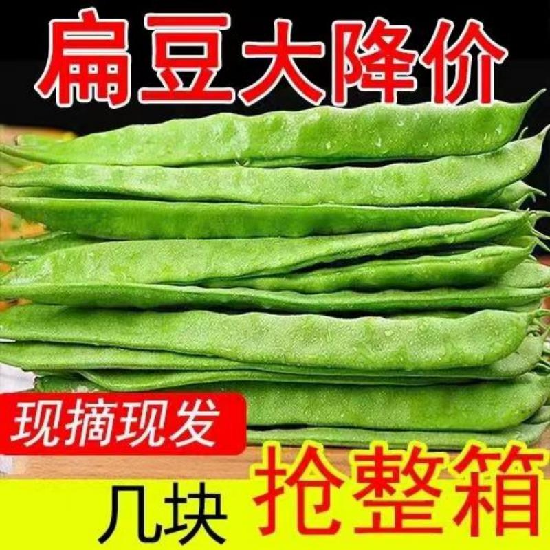 闽南扁豆角露天新鲜现摘嫩无筋丝鲜嫩时令蔬菜