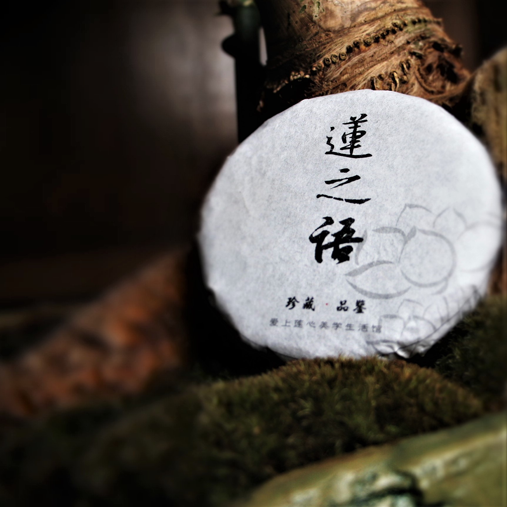 【爱上莲心】2020纪念版古树茶  莲之语茶饼