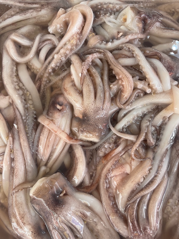 新鲜鱿鱼须30元1斤/500g