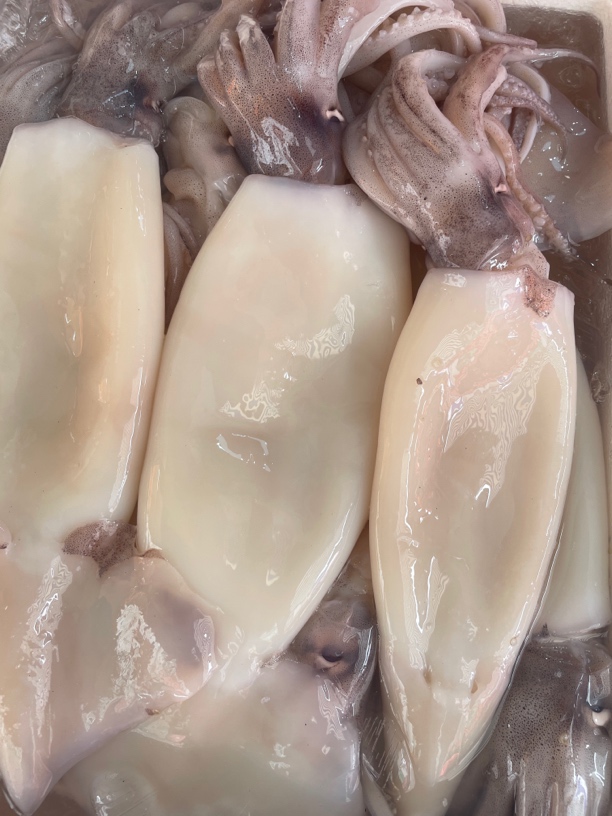 鲜尤鱼30元1斤/500个【默认处理】