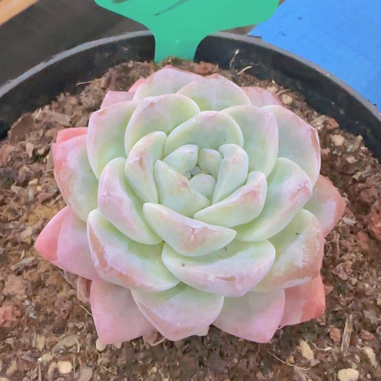 【闪购商品】发*23--------
