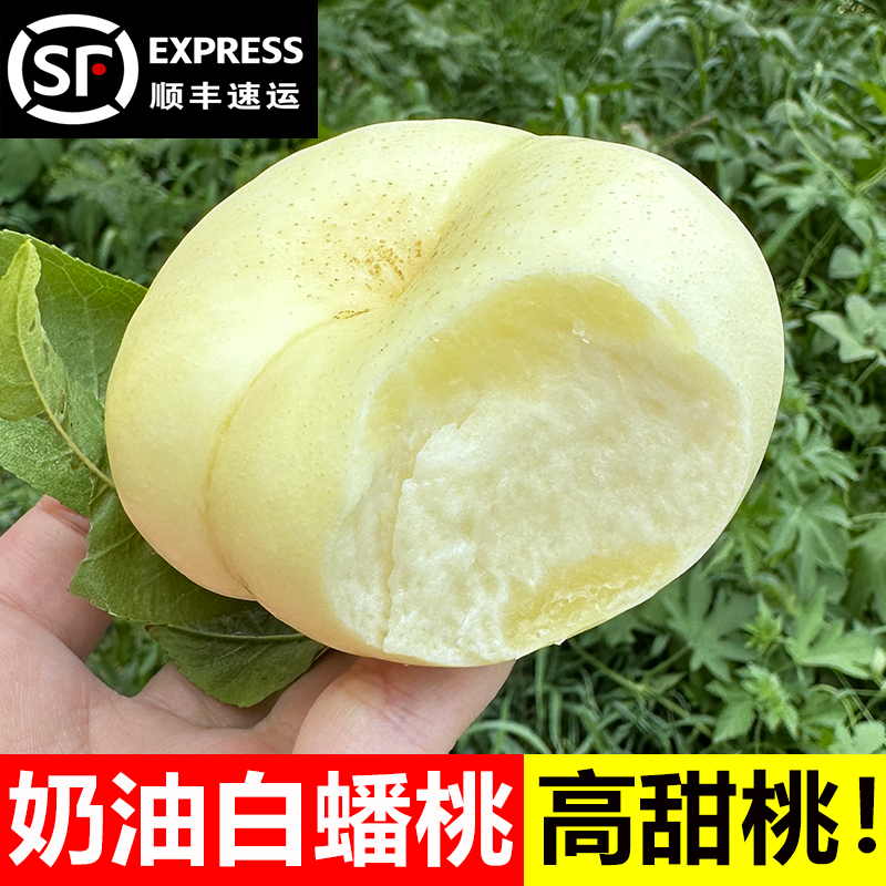 【顺丰特快】山东蒙阴奶油蟠桃蜜桃白蟠桃应季孕妇水果新鲜水果当季